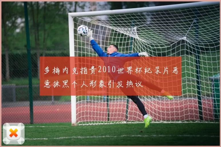 多梅内克指责2010世界杯纪录片恶意抹黑个人形象引发热议