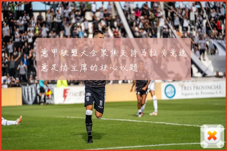 意甲联盟大会聚焦支持马拉戈竞选意足协主席的核心议题